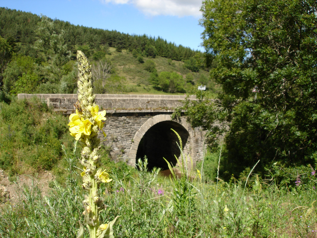 Pont sur le Lot