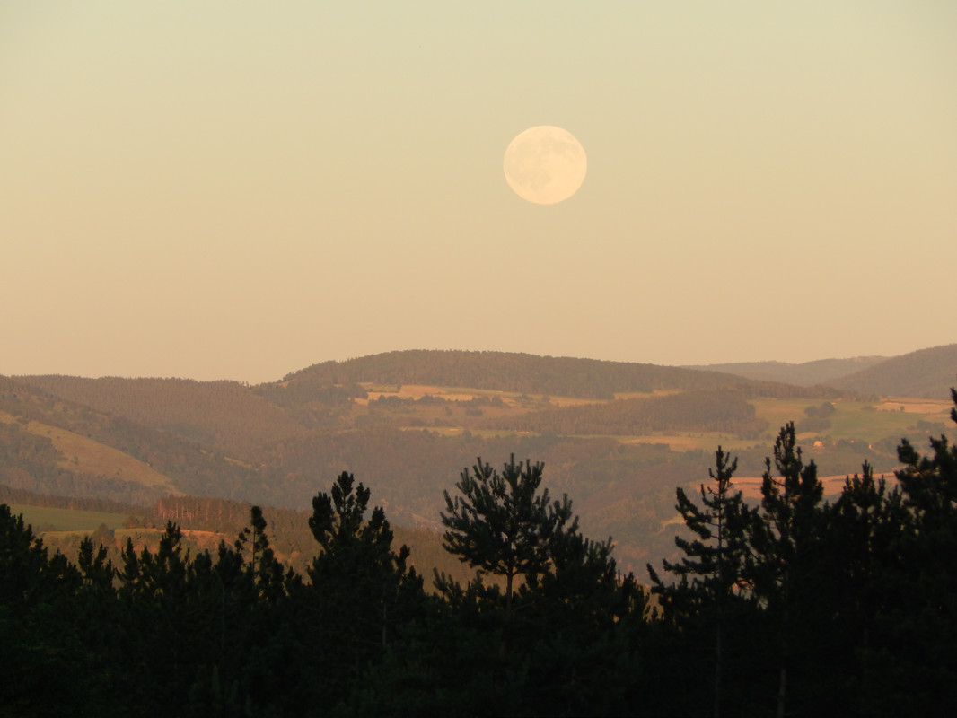 Paysage Lozère